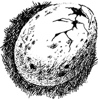 Иллюстрация к книге — Волшебное наследство. Миры Крестоманси. Книга седьмая [i_020.jpg]