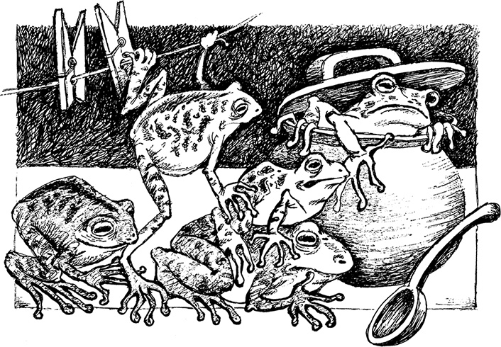 Иллюстрация к книге — Волшебное наследство. Миры Крестоманси. Книга седьмая [i_024.jpg]