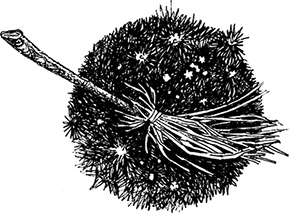 Иллюстрация к книге — Волшебное наследство. Миры Крестоманси. Книга седьмая [i_031.jpg]