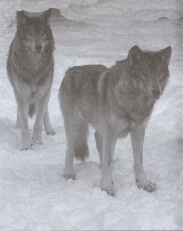 Иллюстрация к книге — Главная профессия — разведка [i_025.jpg]