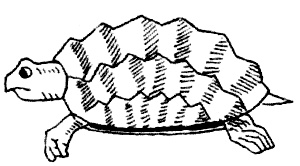 Иллюстрация к книге — "Волчьи стаи" во Второй мировой. Легендарные субмарины Третьего рейха [i_014.jpg]