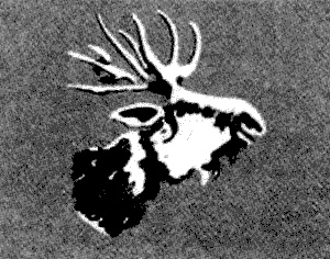 Иллюстрация к книге — "Волчьи стаи" во Второй мировой. Легендарные субмарины Третьего рейха [i_025.jpg]