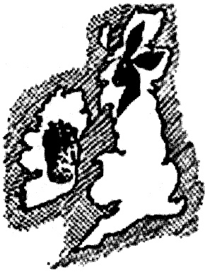 Иллюстрация к книге — "Волчьи стаи" во Второй мировой. Легендарные субмарины Третьего рейха [i_043.jpg]