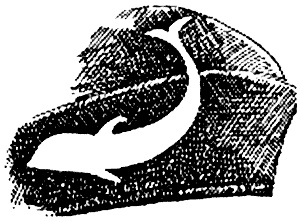 Иллюстрация к книге — "Волчьи стаи" во Второй мировой. Легендарные субмарины Третьего рейха [i_050.jpg]