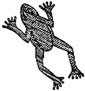 Иллюстрация к книге — "Волчьи стаи" во Второй мировой. Легендарные субмарины Третьего рейха [i_053.jpg]