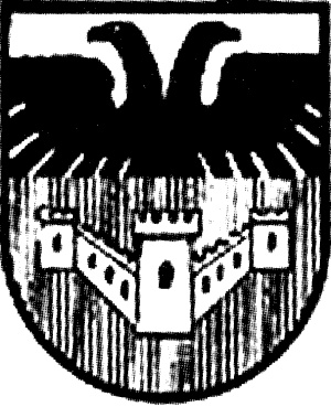 Иллюстрация к книге — "Волчьи стаи" во Второй мировой. Легендарные субмарины Третьего рейха [i_057.jpg]