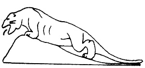 Иллюстрация к книге — "Волчьи стаи" во Второй мировой. Легендарные субмарины Третьего рейха [i_071.jpg]