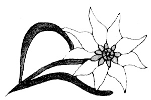 Иллюстрация к книге — "Волчьи стаи" во Второй мировой. Легендарные субмарины Третьего рейха [i_081.jpg]