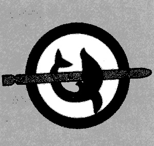 Иллюстрация к книге — "Волчьи стаи" во Второй мировой. Легендарные субмарины Третьего рейха [i_092.jpg]