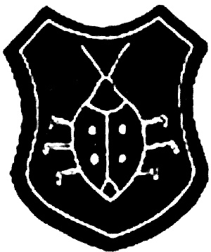 Иллюстрация к книге — "Волчьи стаи" во Второй мировой. Легендарные субмарины Третьего рейха [i_094.jpg]