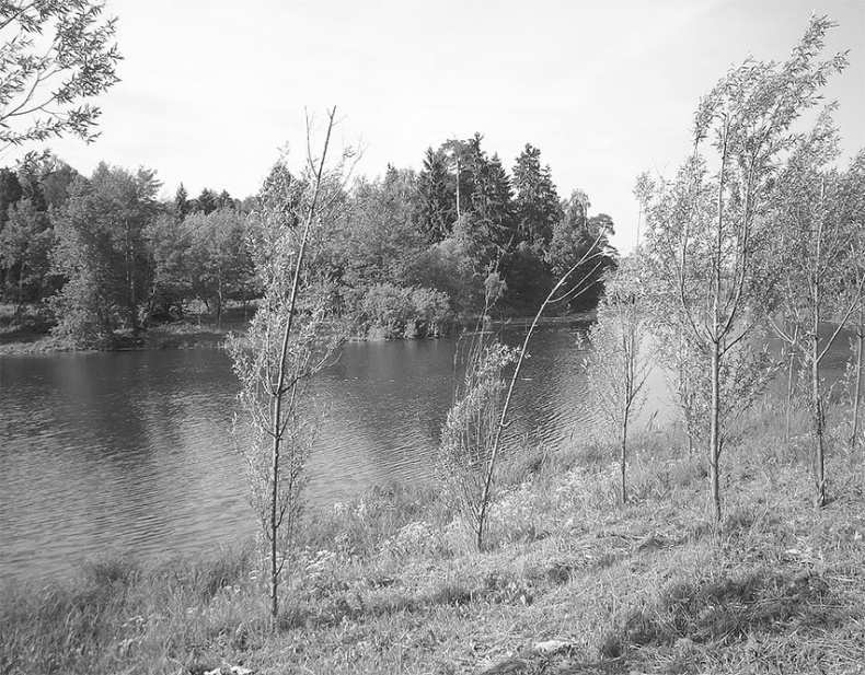 Иллюстрация к книге — Рублевка, скрытая от посторонних глаз. История старинной дороги. 33 истории о великих жителях Рублевки, или Тридцать три богатыря [i_003.jpg]