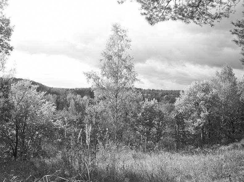 Иллюстрация к книге — Рублевка, скрытая от посторонних глаз. История старинной дороги. 33 истории о великих жителях Рублевки, или Тридцать три богатыря [i_037.jpg]