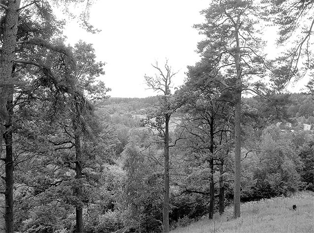 Иллюстрация к книге — Рублевка, скрытая от посторонних глаз. История старинной дороги. 33 истории о великих жителях Рублевки, или Тридцать три богатыря [i_107.jpg]