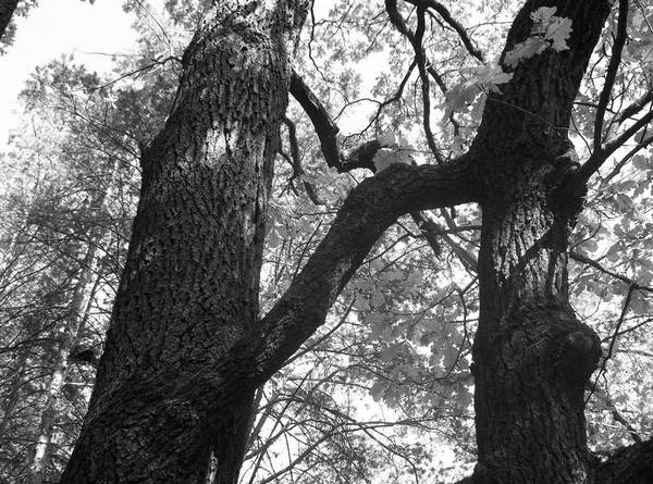 Иллюстрация к книге — Рублевка и ее обитатели. Романтическое повествование [i_004.jpg]