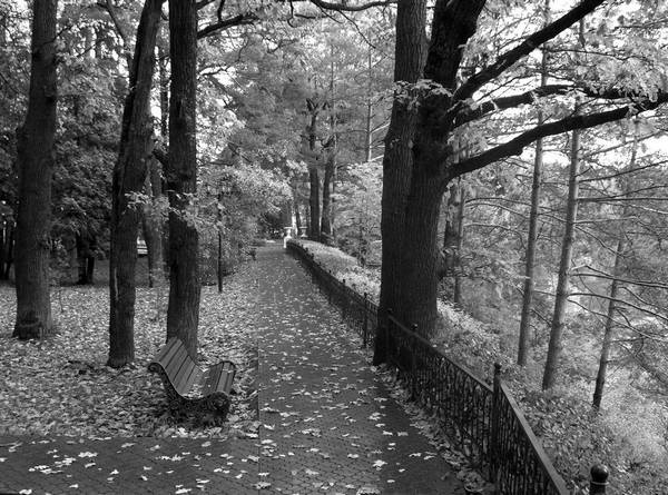 Иллюстрация к книге — Рублевка и ее обитатели. Романтическое повествование [i_007.jpg]