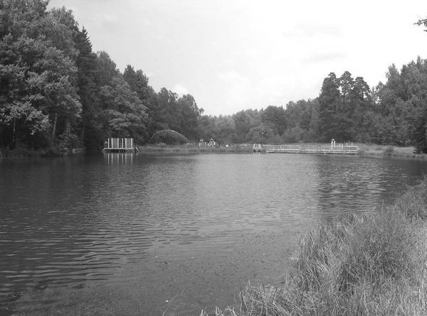 Иллюстрация к книге — Рублевка и ее обитатели. Романтическое повествование [i_019.jpg]