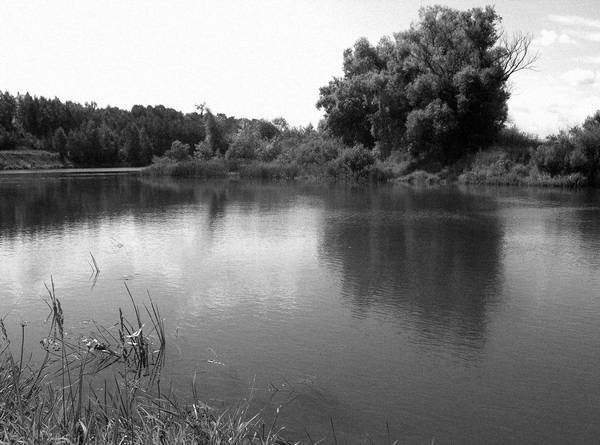 Иллюстрация к книге — Рублевка и ее обитатели. Романтическое повествование [i_021.jpg]