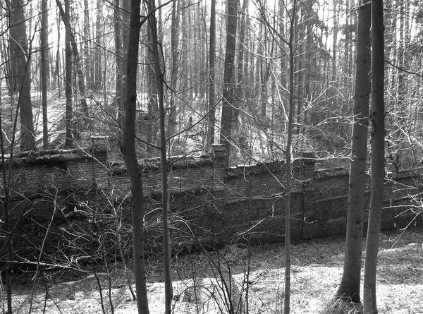 Иллюстрация к книге — Рублевка и ее обитатели. Романтическое повествование [i_028.jpg]