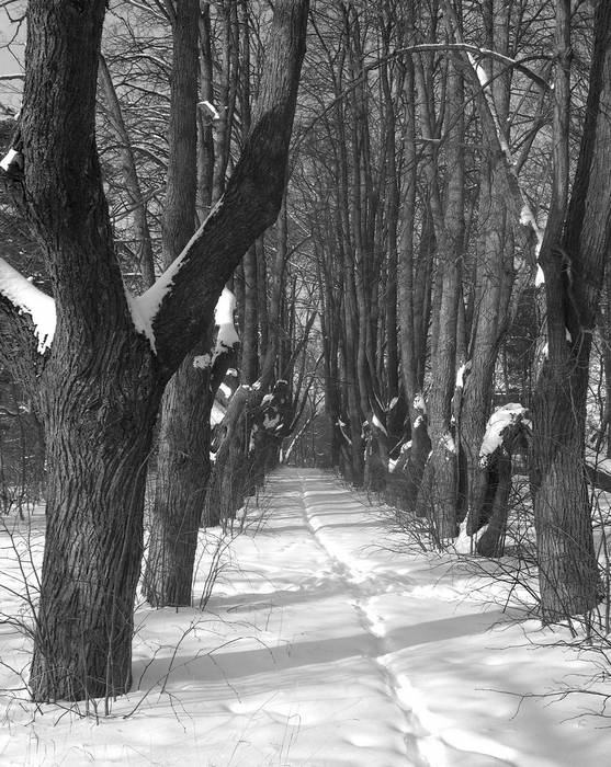 Иллюстрация к книге — Рублевка и ее обитатели. Романтическое повествование [i_078.jpg]