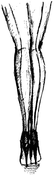 Иллюстрация к книге — Дура с двумя высшими желает познакомиться [i_004.jpg]