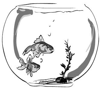 Иллюстрация к книге — Дура с двумя высшими желает познакомиться [i_067.jpg]