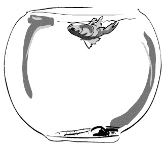 Иллюстрация к книге — Дура с двумя высшими желает познакомиться [i_068.jpg]