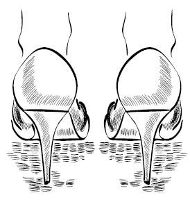 Иллюстрация к книге — Дура с двумя высшими желает познакомиться [i_087.jpg]