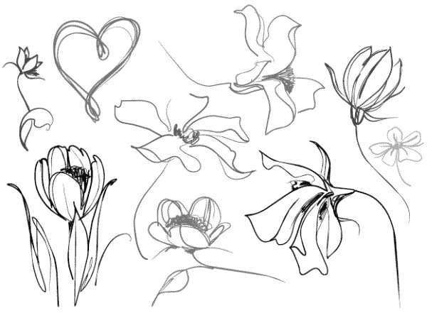 Иллюстрация к книге — Дура с двумя высшими желает познакомиться [i_116.jpg]