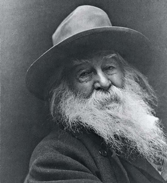 Иллюстрация к книге — Краткая история США [_19.jpg]