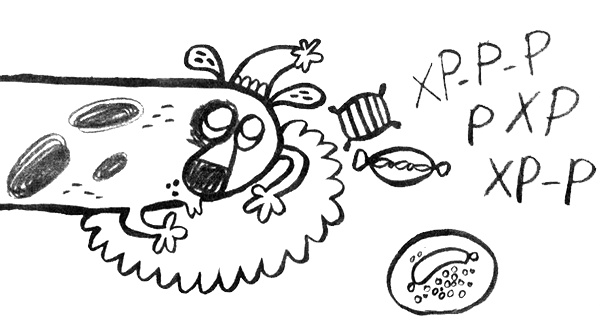 Иллюстрация к книге — Про Бабаку Косточкину [i_013.jpg]