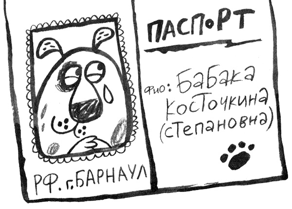 Иллюстрация к книге — Про Бабаку Косточкину [i_019.jpg]