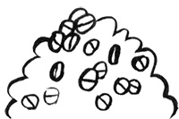 Иллюстрация к книге — Про Бабаку Косточкину [i_117.jpg]