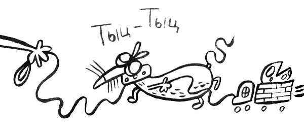 Иллюстрация к книге — Про Бабаку Косточкину [i_151.jpg]