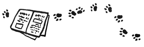 Иллюстрация к книге — Про Бабаку Косточкину [i_214.jpg]