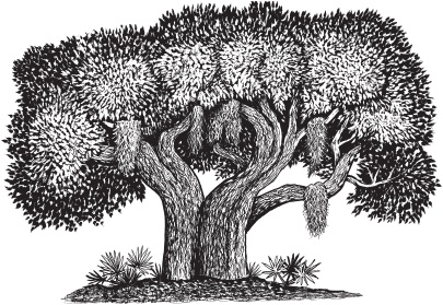 Иллюстрация к книге — Сакура и дуб [_02.jpg]