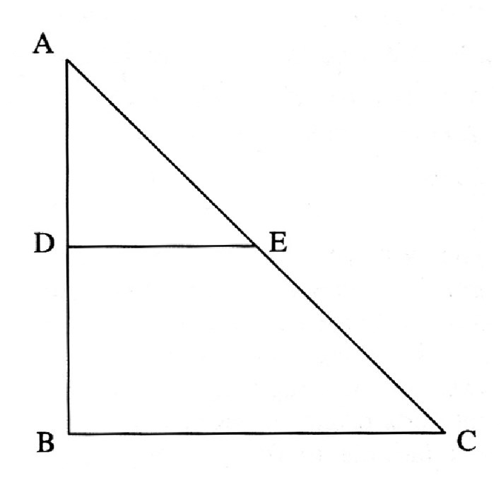 Иллюстрация к книге — Упрямый Галилей [i_043.jpg]