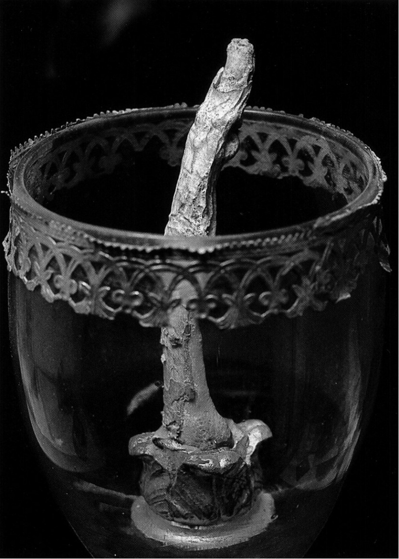 Иллюстрация к книге — Упрямый Галилей [i_054.jpg]