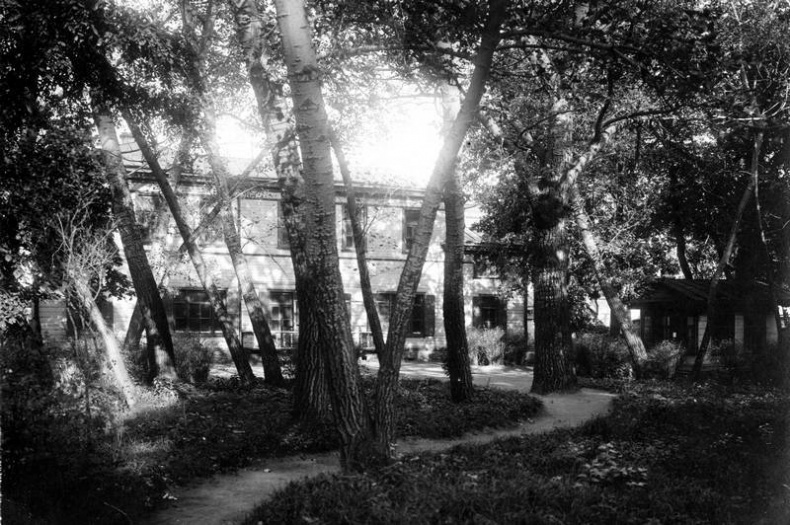 Иллюстрация к книге — Лев в тени Льва [i_005.jpg]