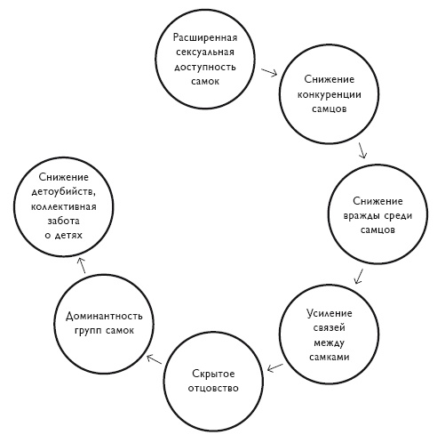 Иллюстрация к книге — Секс на заре цивилизации. Эволюция человеческой сексуальности с доисторических времен до наших дней [i_043.jpg]