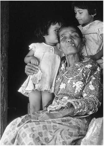 Иллюстрация к книге — Секс на заре цивилизации. Эволюция человеческой сексуальности с доисторических времен до наших дней [i_058.jpg]