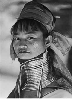 Иллюстрация к книге — Секс на заре цивилизации. Эволюция человеческой сексуальности с доисторических времен до наших дней [i_060.jpg]