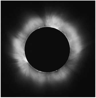 Иллюстрация к книге — Секс на заре цивилизации. Эволюция человеческой сексуальности с доисторических времен до наших дней [i_128.jpg]