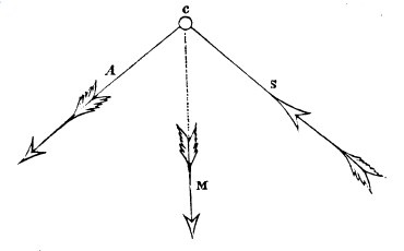 Иллюстрация к книге — Физиогномика и выражение чувств [i_014.jpg]