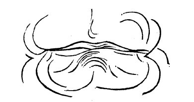 Иллюстрация к книге — Физиогномика и выражение чувств [i_038.jpg]