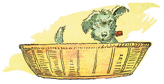 Иллюстрация к книге — Новые истории Тряпичной Энн [i_008.jpg]