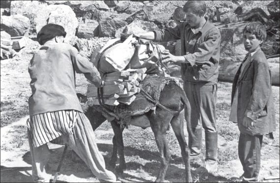 Иллюстрация к книге — Афганская война. Все боевые операции [i_063.jpg]