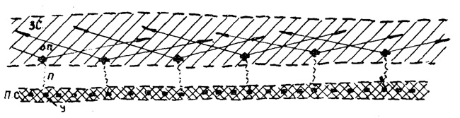 Иллюстрация к книге — "Линия Сталина" в бою [i_036.jpg]