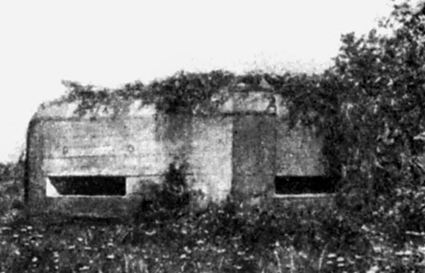 Иллюстрация к книге — "Линия Сталина" в бою [i_060.jpg]