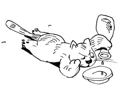 Иллюстрация к книге — Интуитивное питание. Как перестать беспокоиться о еде и похудеть [i_056.jpg]