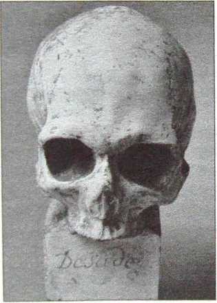 Иллюстрация к книге — Маркиз де Сад. Великий распутник [i_018.jpg]